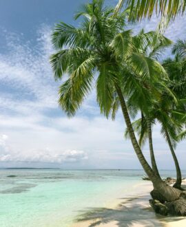 Beach & Coastal Destinations